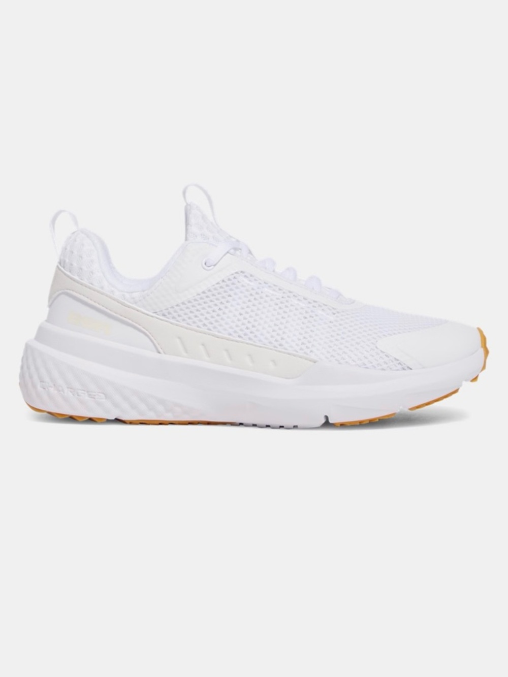 Under Armour Men’s Project Rock BSR 5 Shoes